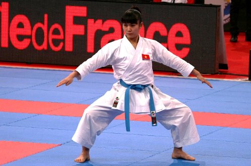 Vietnamese martial artist wins gold in Istanbul karate league